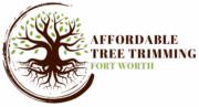 Affordable Tree Trimming Fort Worth